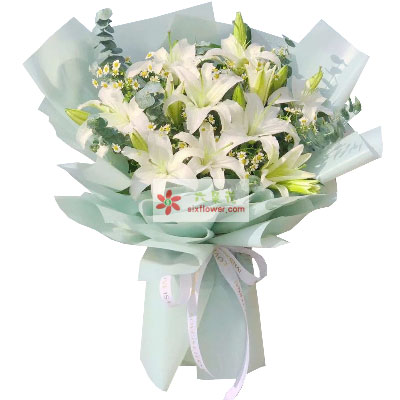 芜湖6支白色多头百合，温馨的祝福