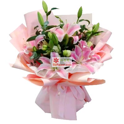 芜湖6支粉色多头百合，祝你人生得意
